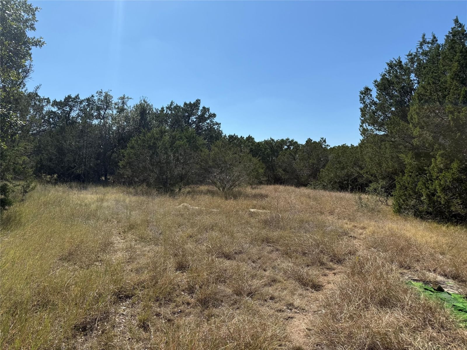 917 Roy Creek TRL - Photo 1