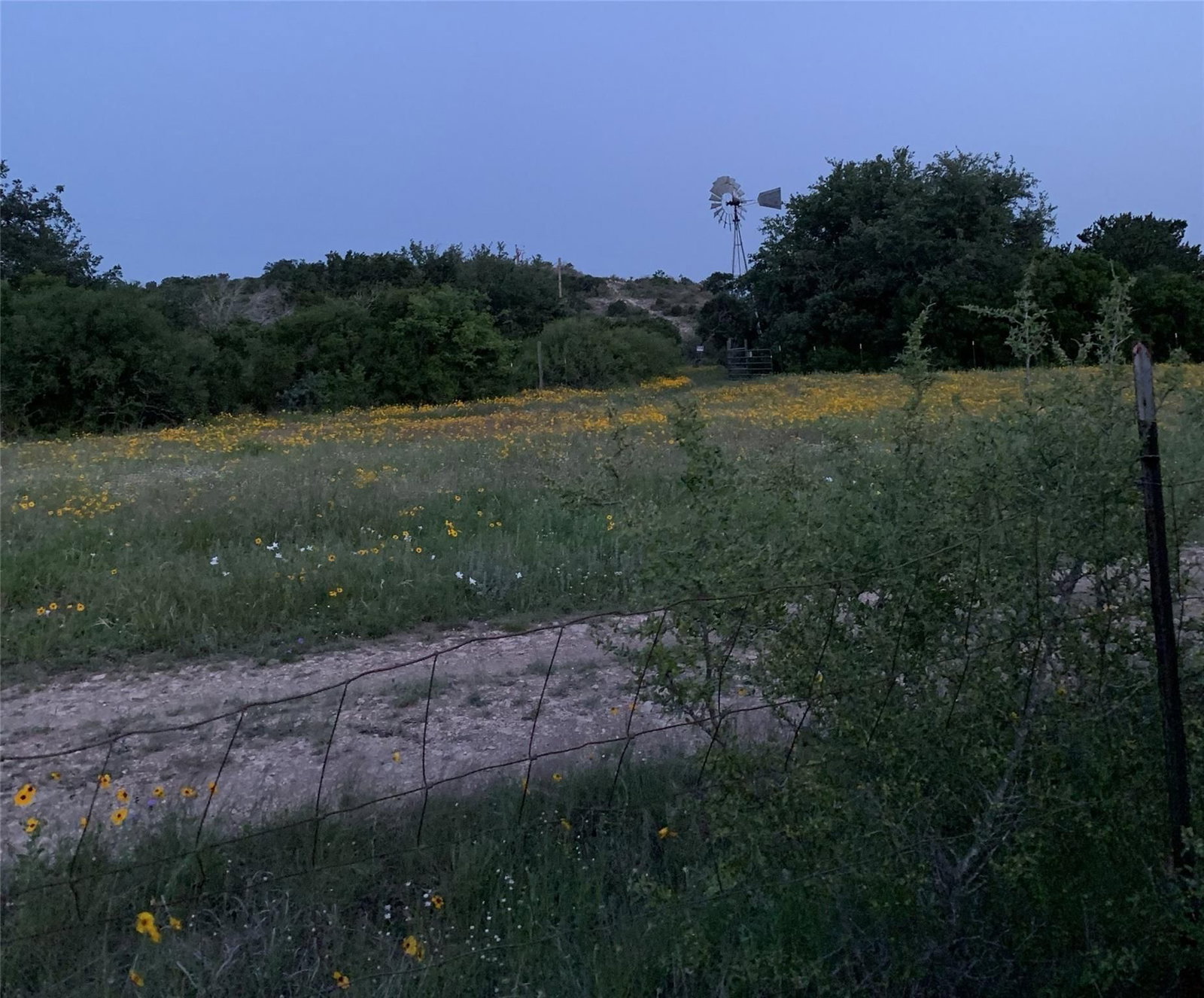 Photo 35