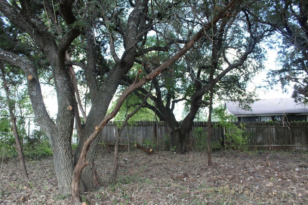 11502 Bee ST - Photo 1
