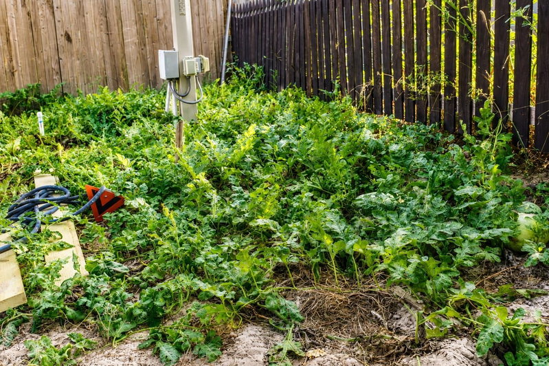 Property photo 32