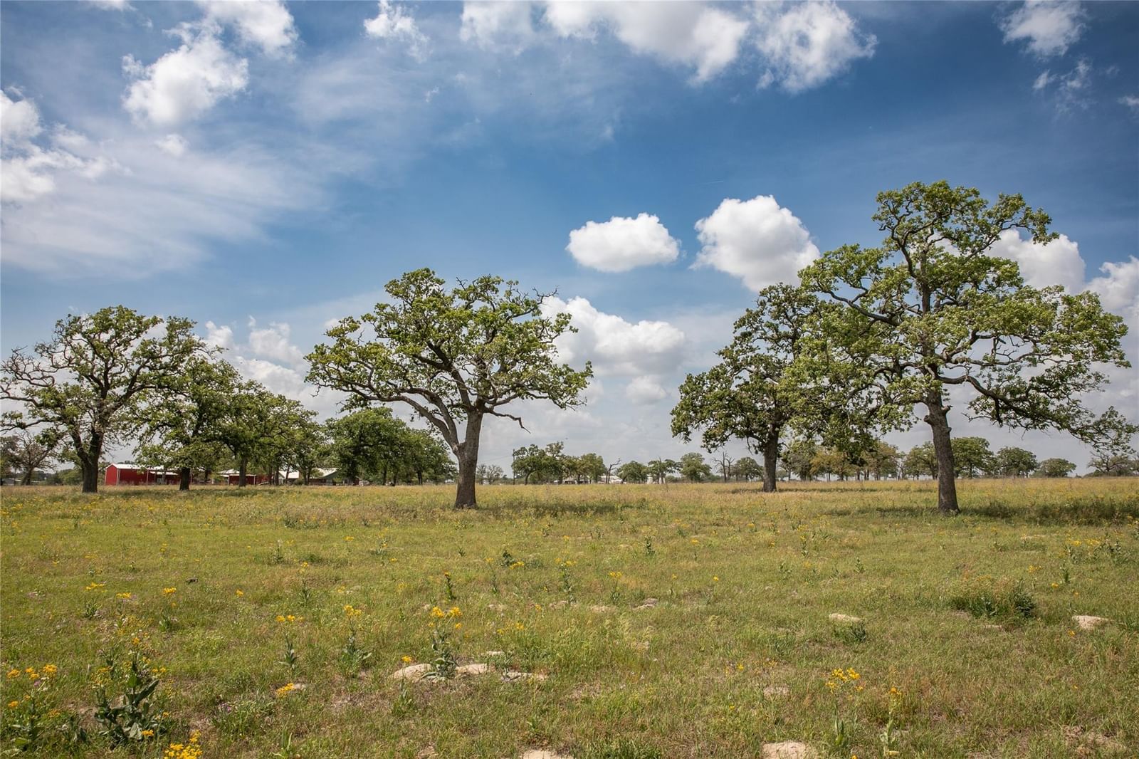 4254 FM 180 RD - Photo 1