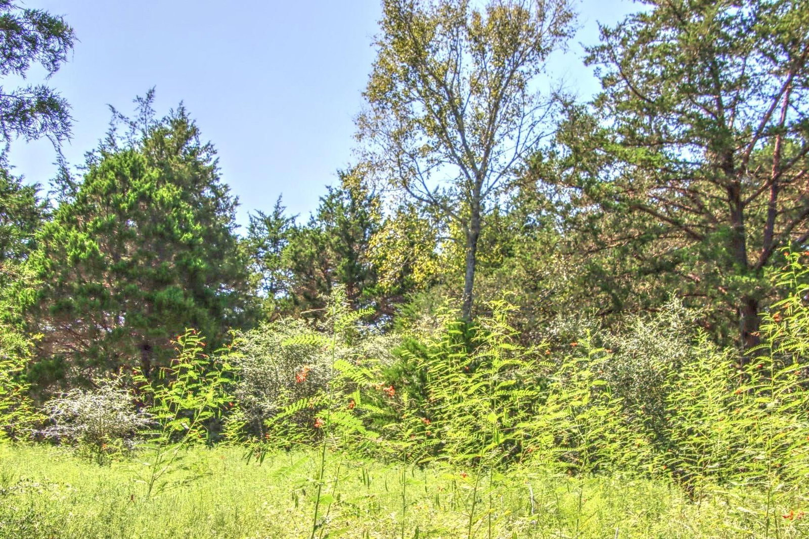 0 Hellinger RD - Photo 1