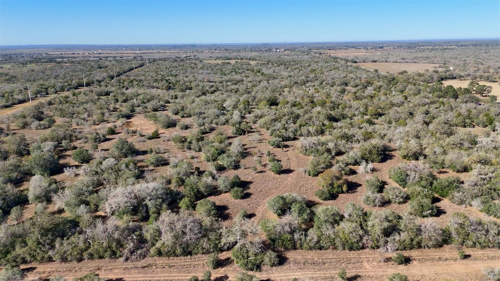 Photo 33