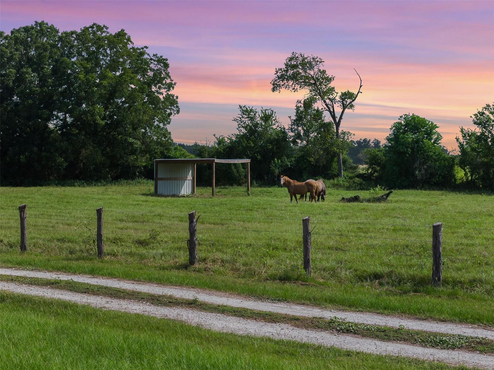 11043 County Road 336 - Photo 1