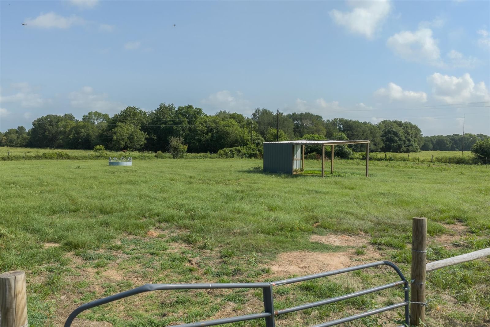 Photo 29