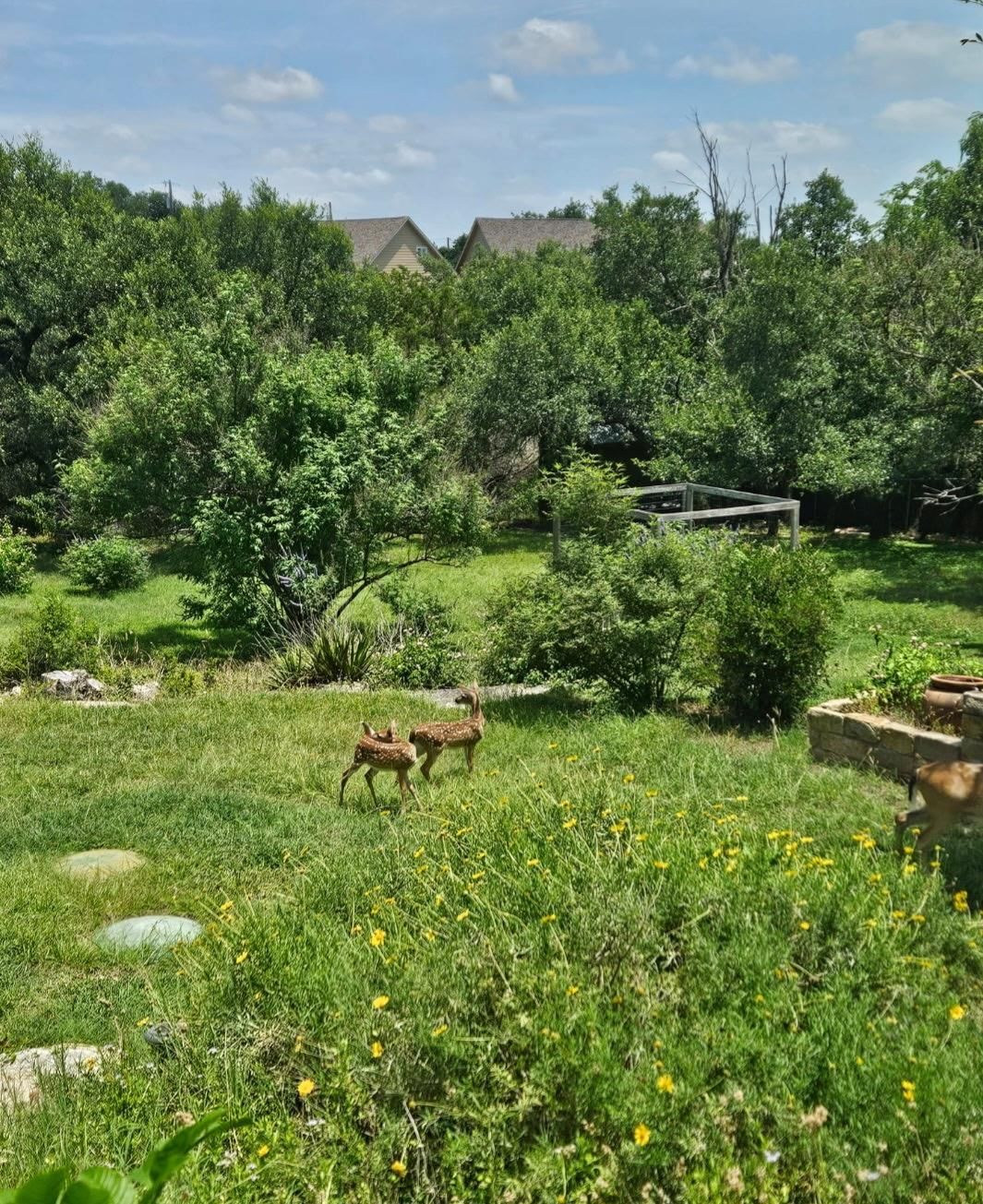 10210 Twin Lake LOOP - Photo 1
