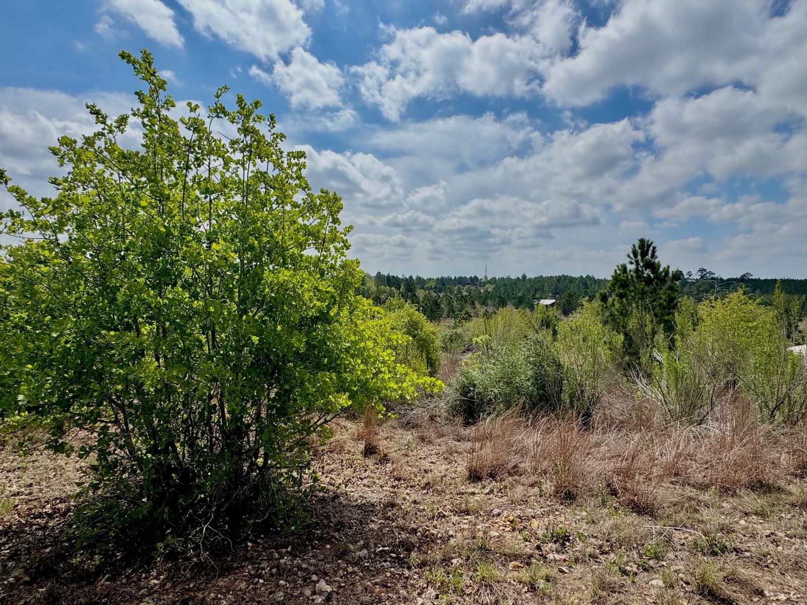 TBD Hudson RD - Photo 1