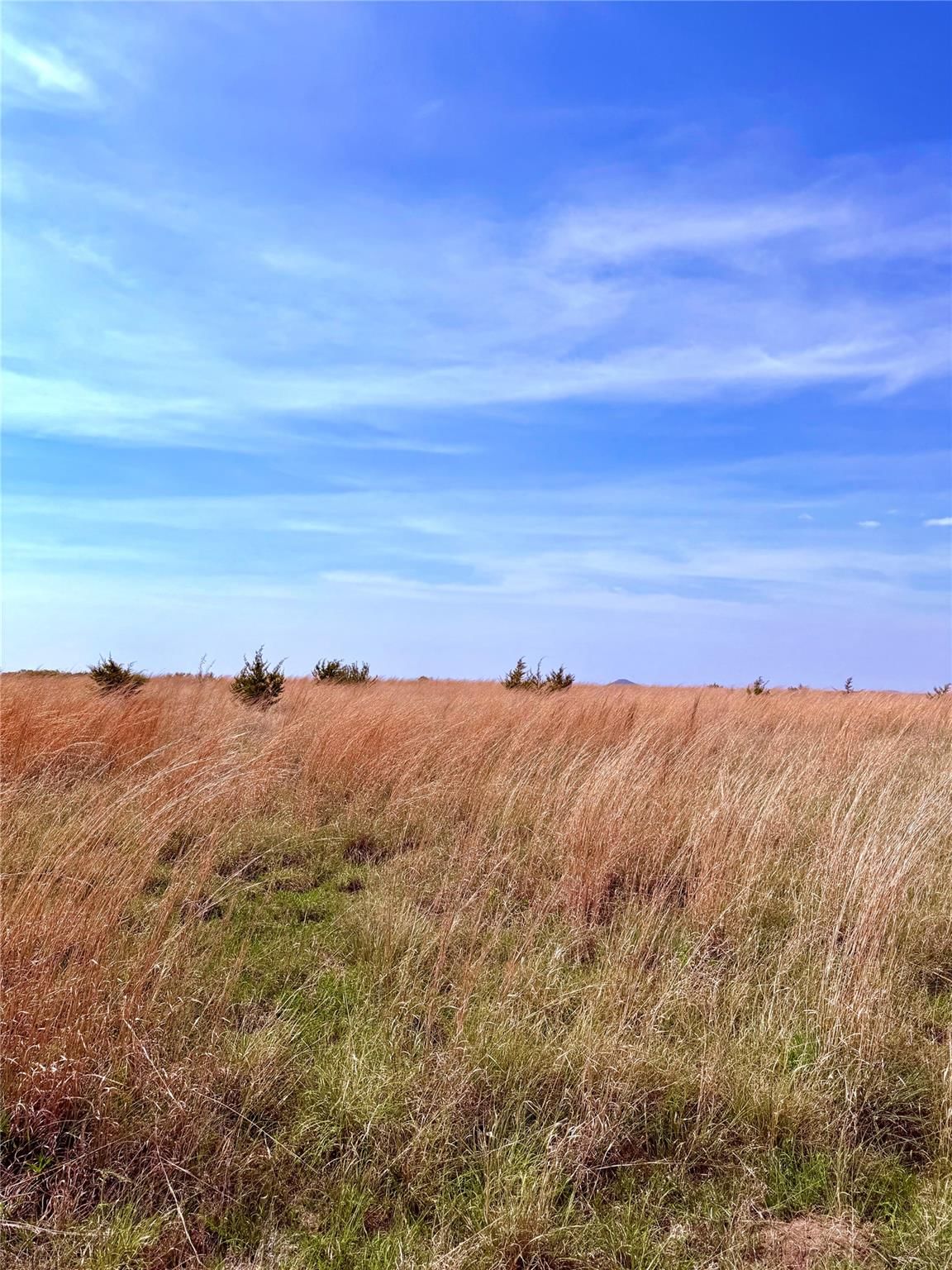 39 county road 330 - Photo 1