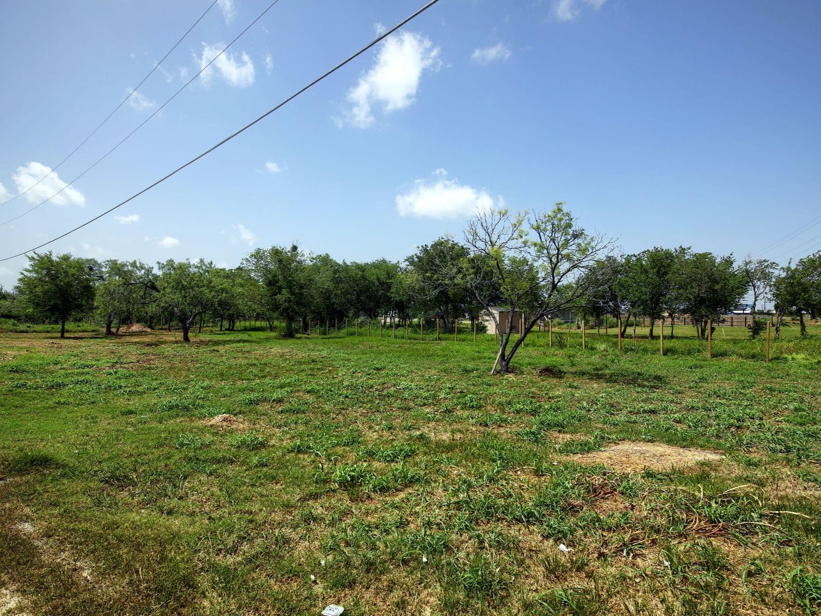 Photo 29