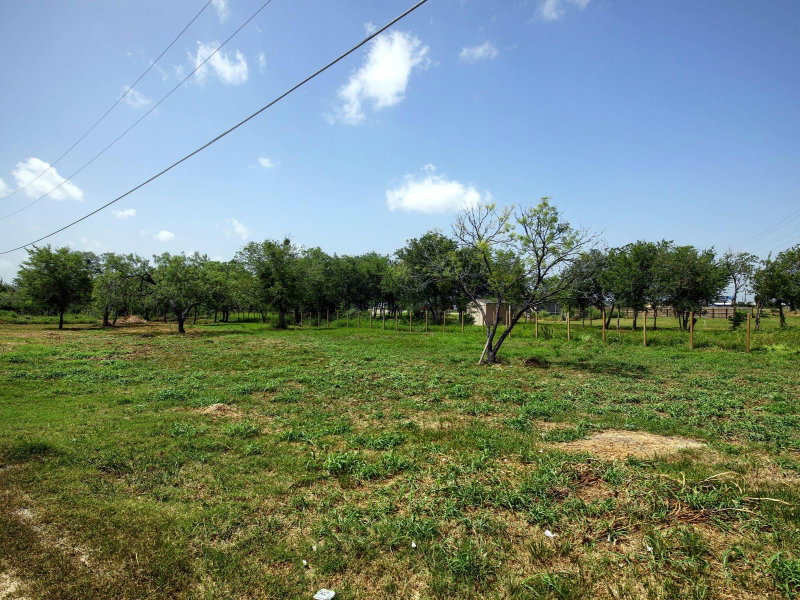 Property photo 29