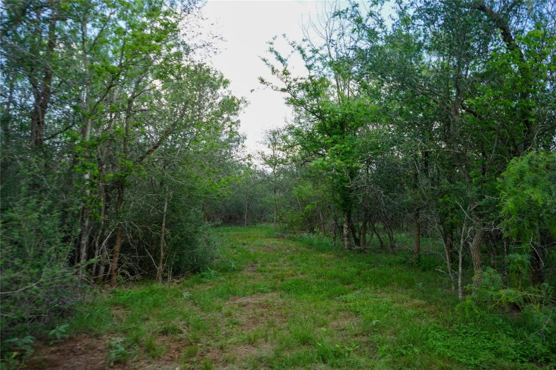 Property photo 23