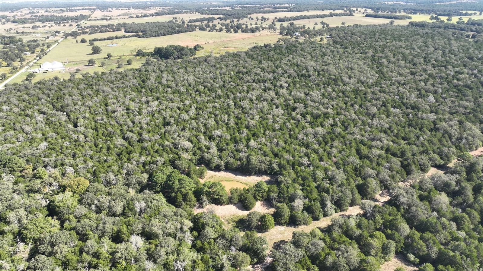 TBD Easley RD - Photo 1