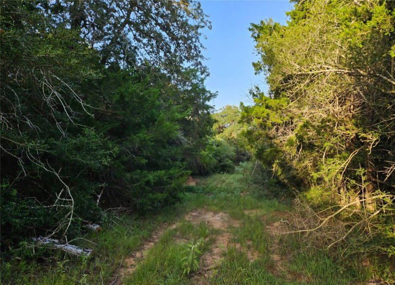 Property photo 23