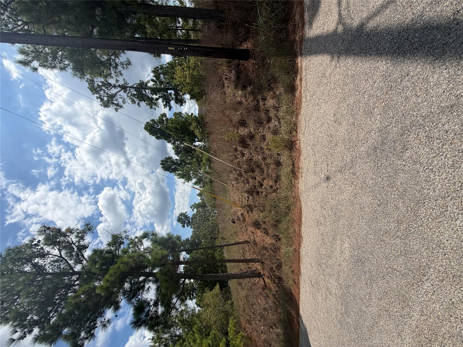 Lot 1189 Awehi LN - Photo 1