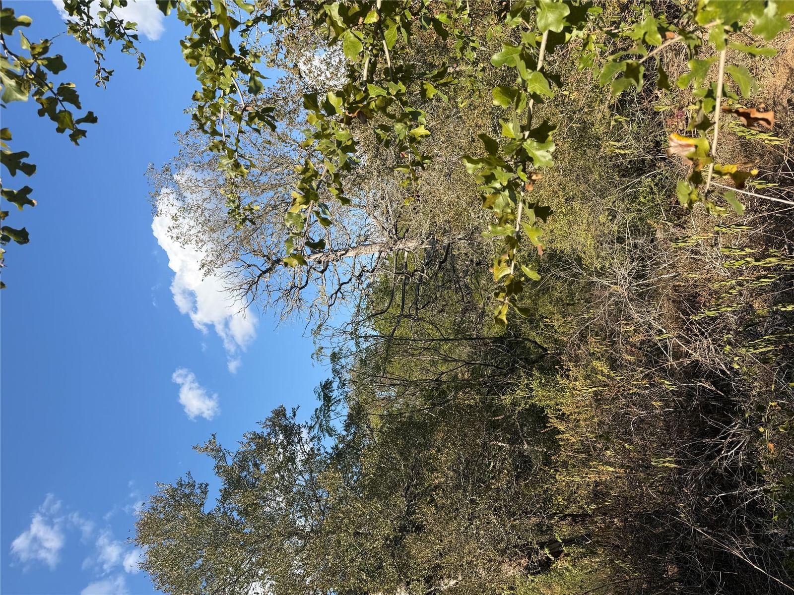 Lot 539 Palikea CIR - Photo 1