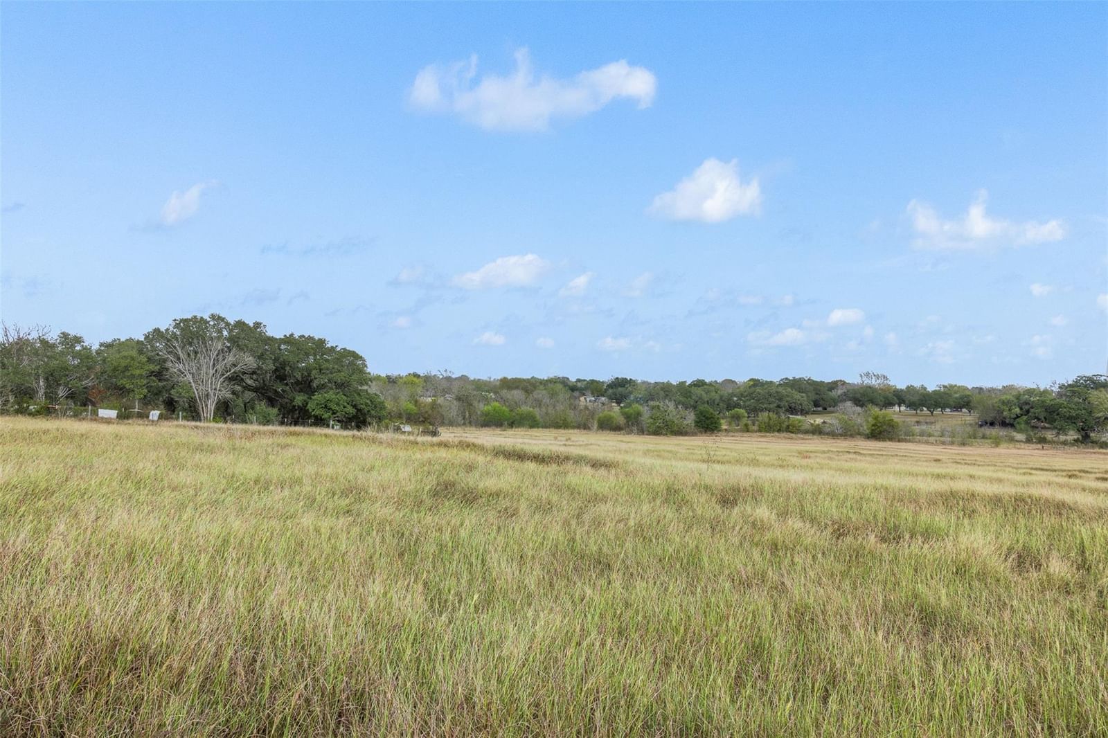 Tract 1 County Road 291 - Photo 1