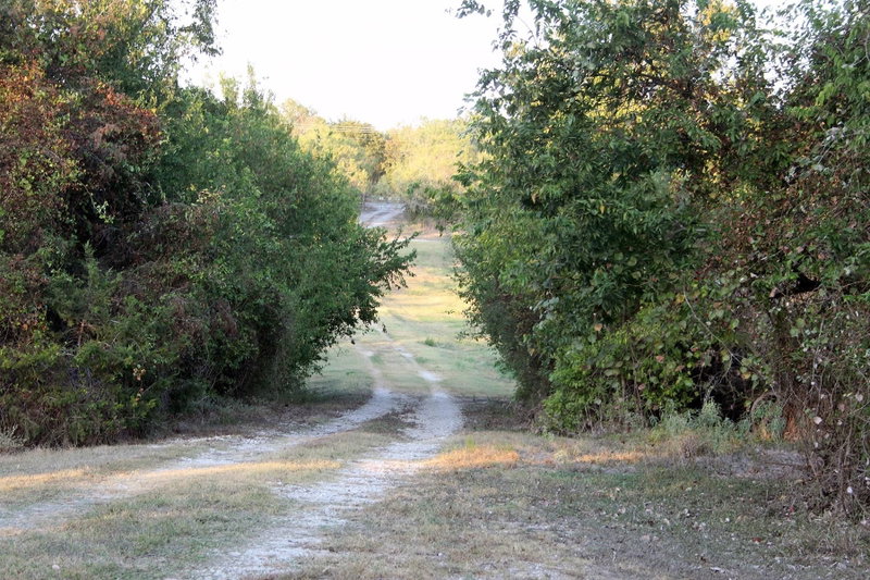 Property photo 16