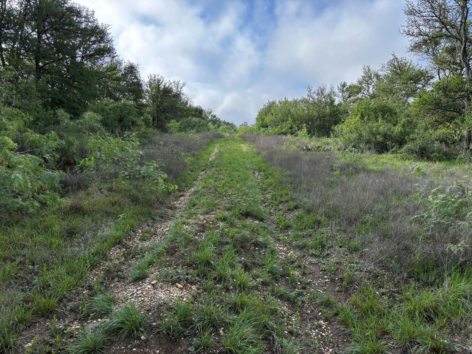 683 County Road 467 - Photo 1