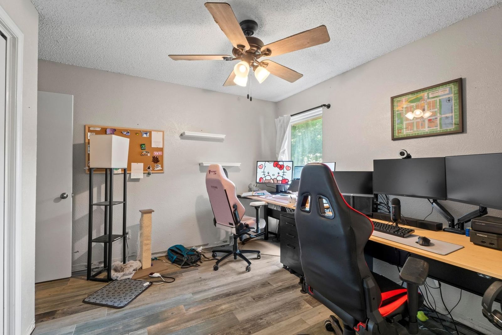 Photo 19