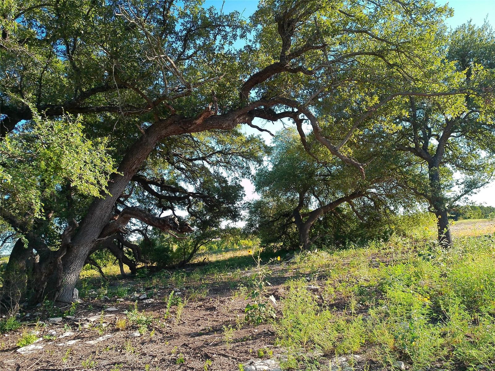 Lot 42 Serenity DR - Photo 1
