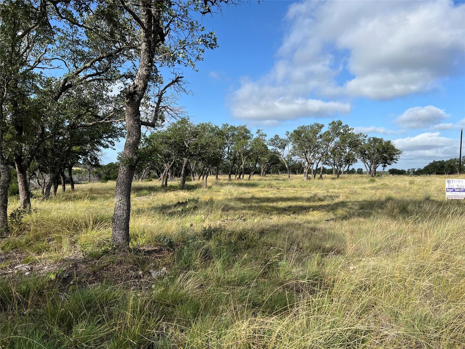 Lot 85, Seven S Spring XING - Photo 1