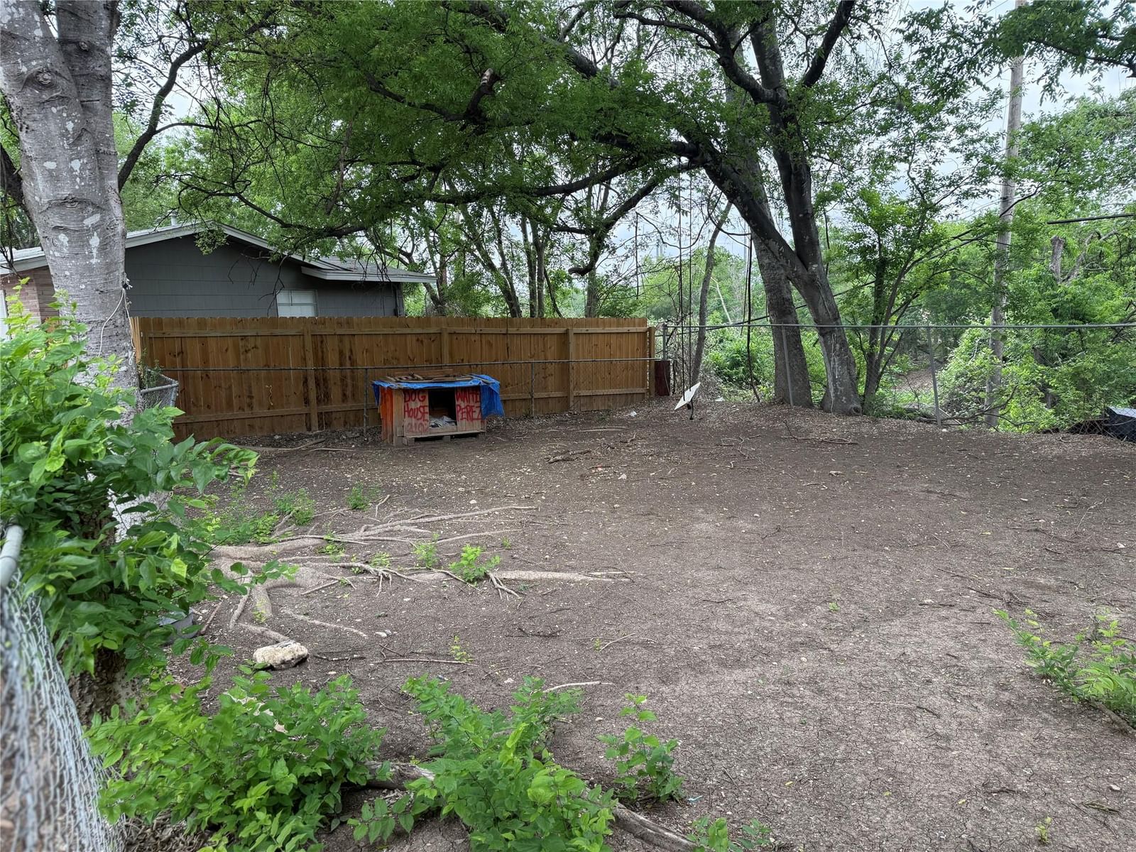 Photo 4