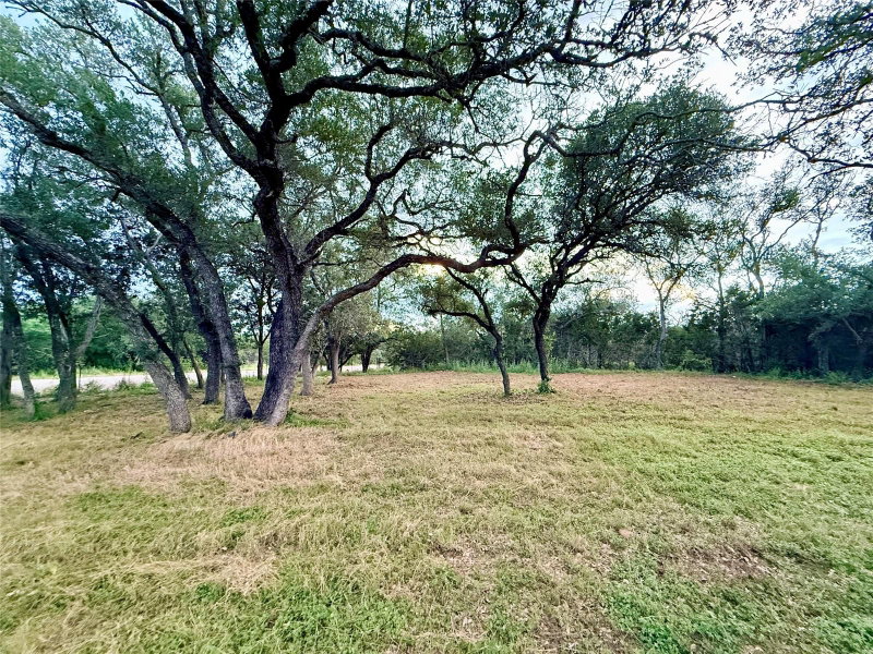 Property photo 23