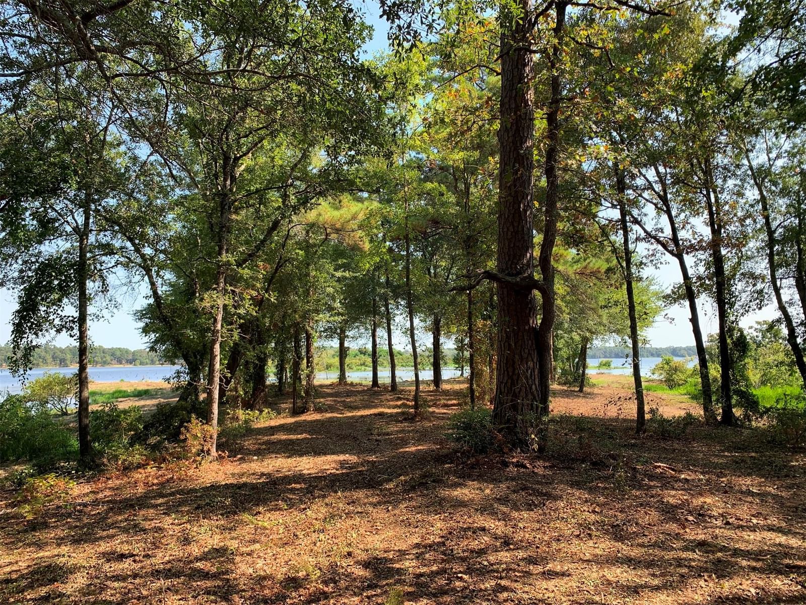3196 Shadow Pine DR #Lot 46 - Photo 1