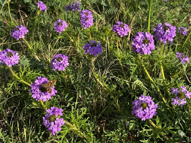 Property photo 28