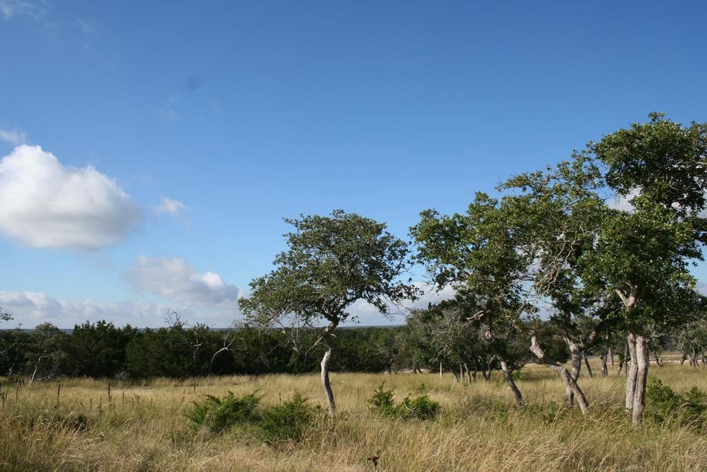 Lot 3 Oakwater DR - Photo 1