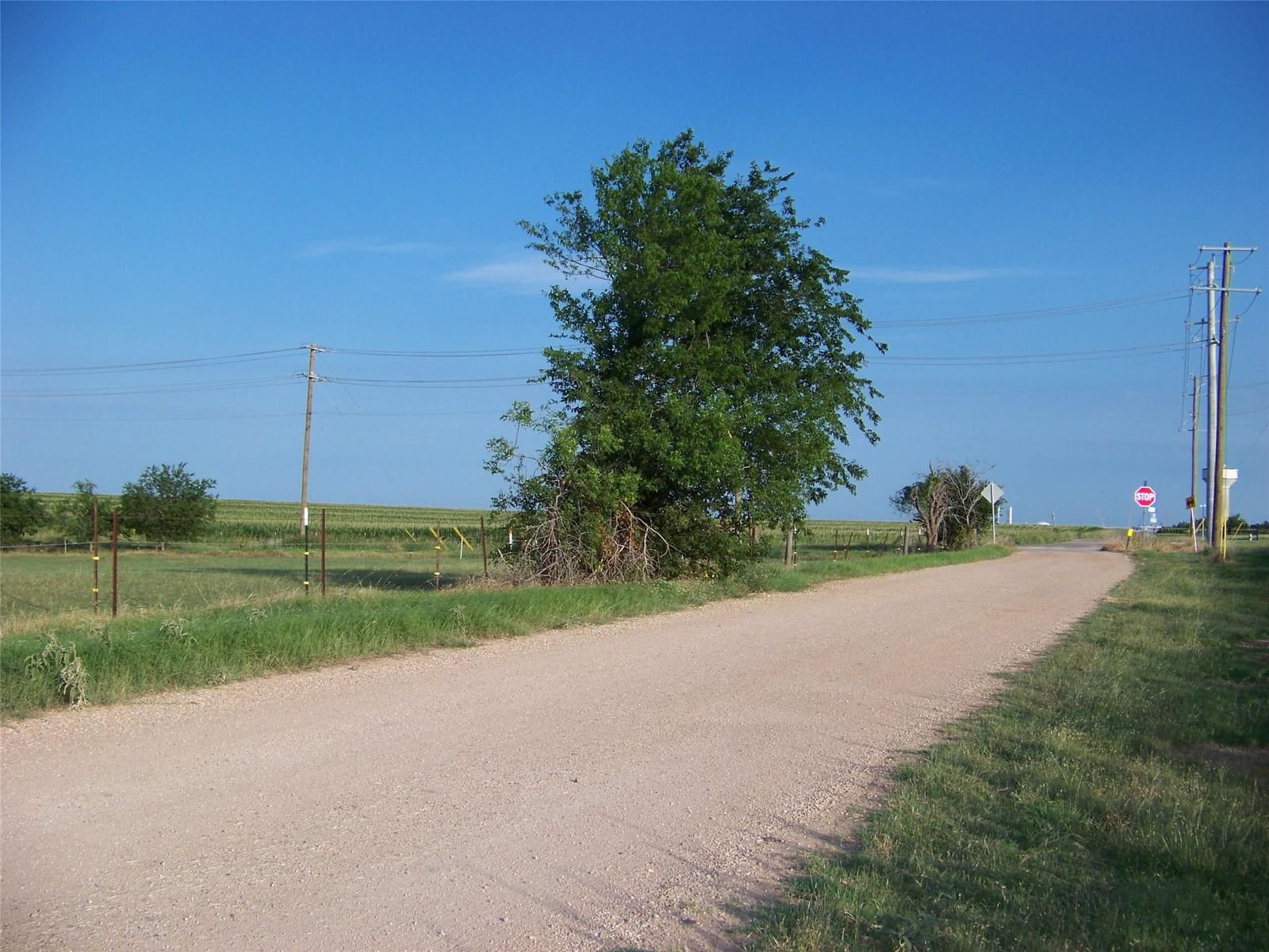 Photo 4
