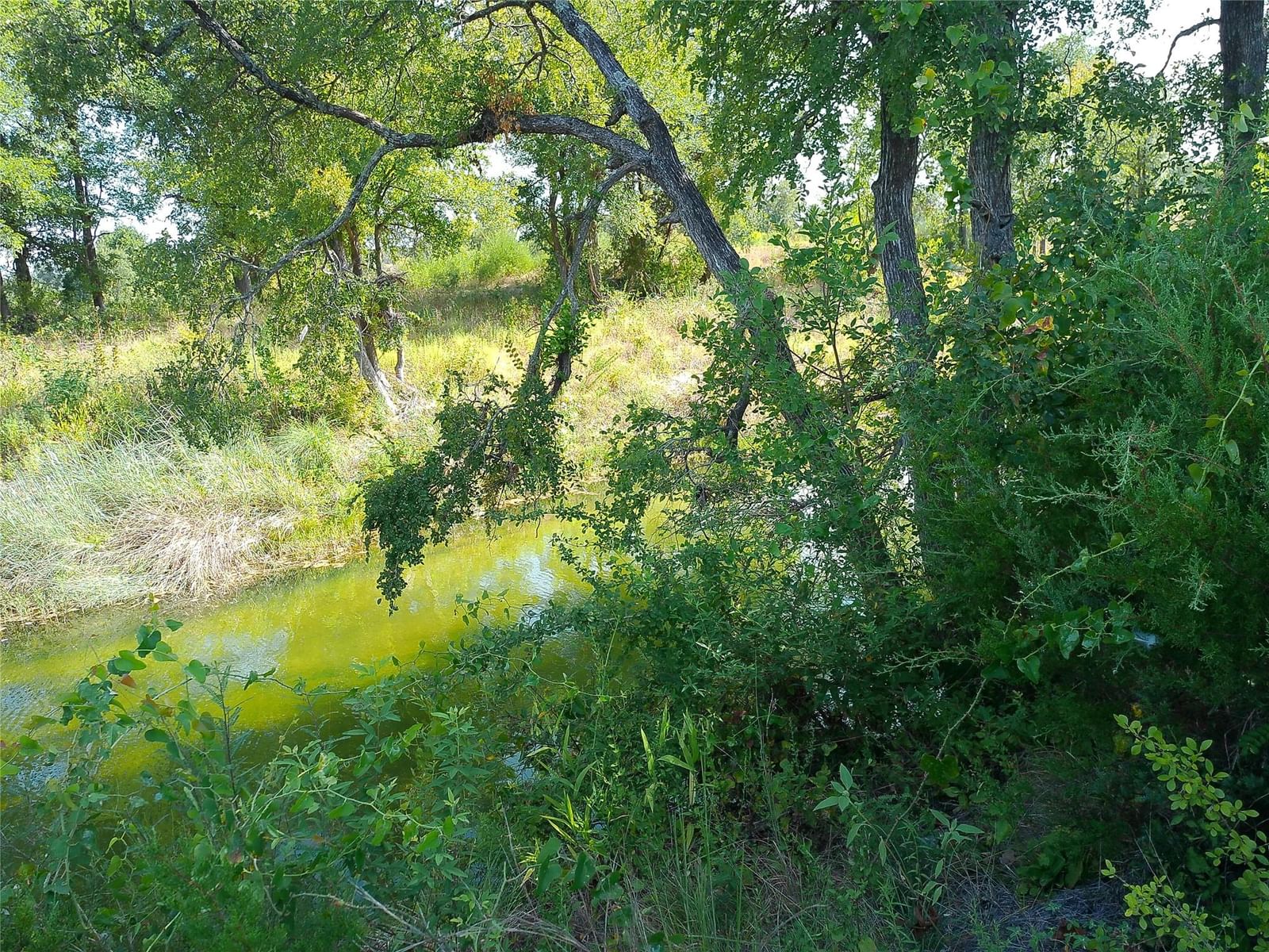 Lot 32 Serenity DR - Photo 1