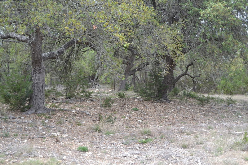 Property photo 37