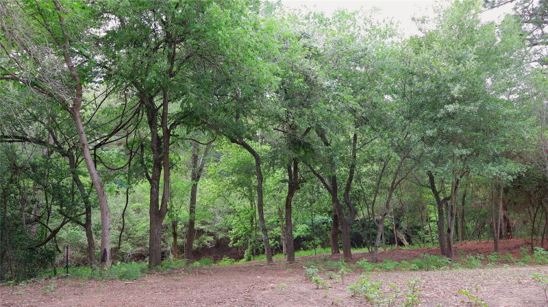 Property photo 26