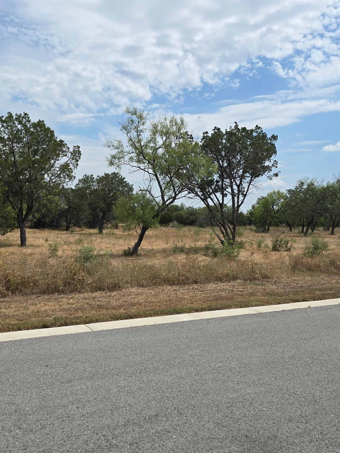 Lot 51 Landings WAY - Photo 1
