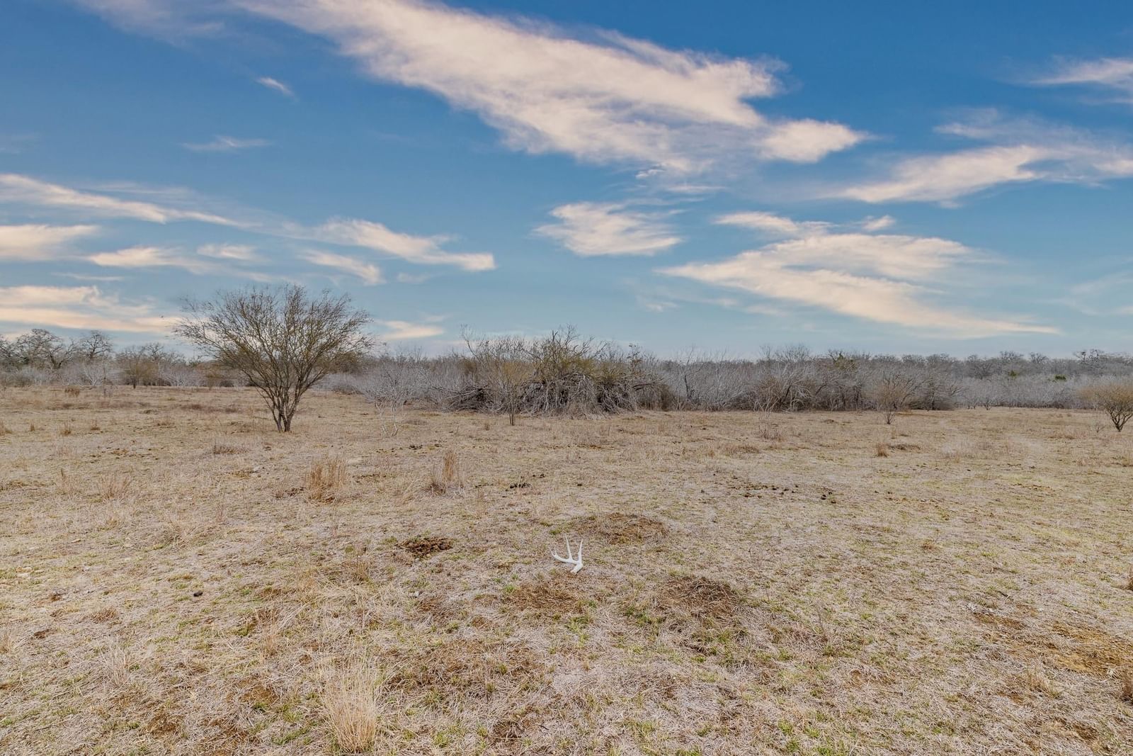 TBD County Road 424 - Photo 1