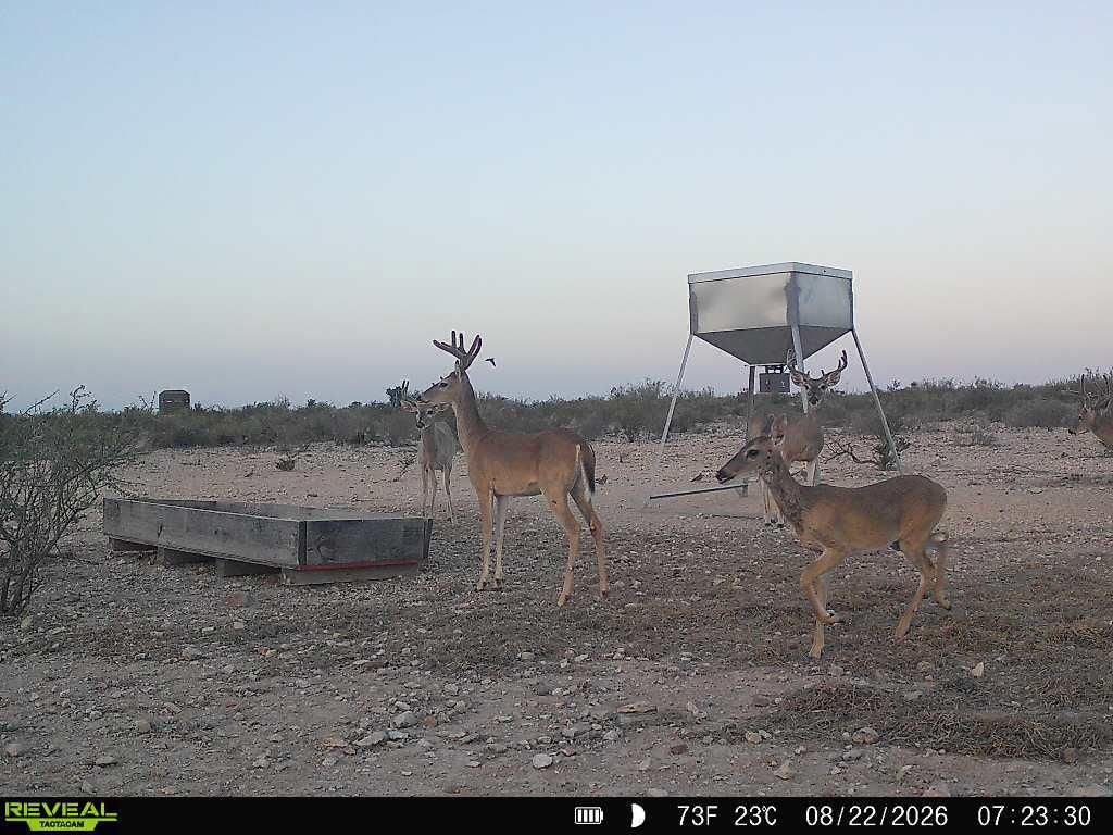 Photo 32