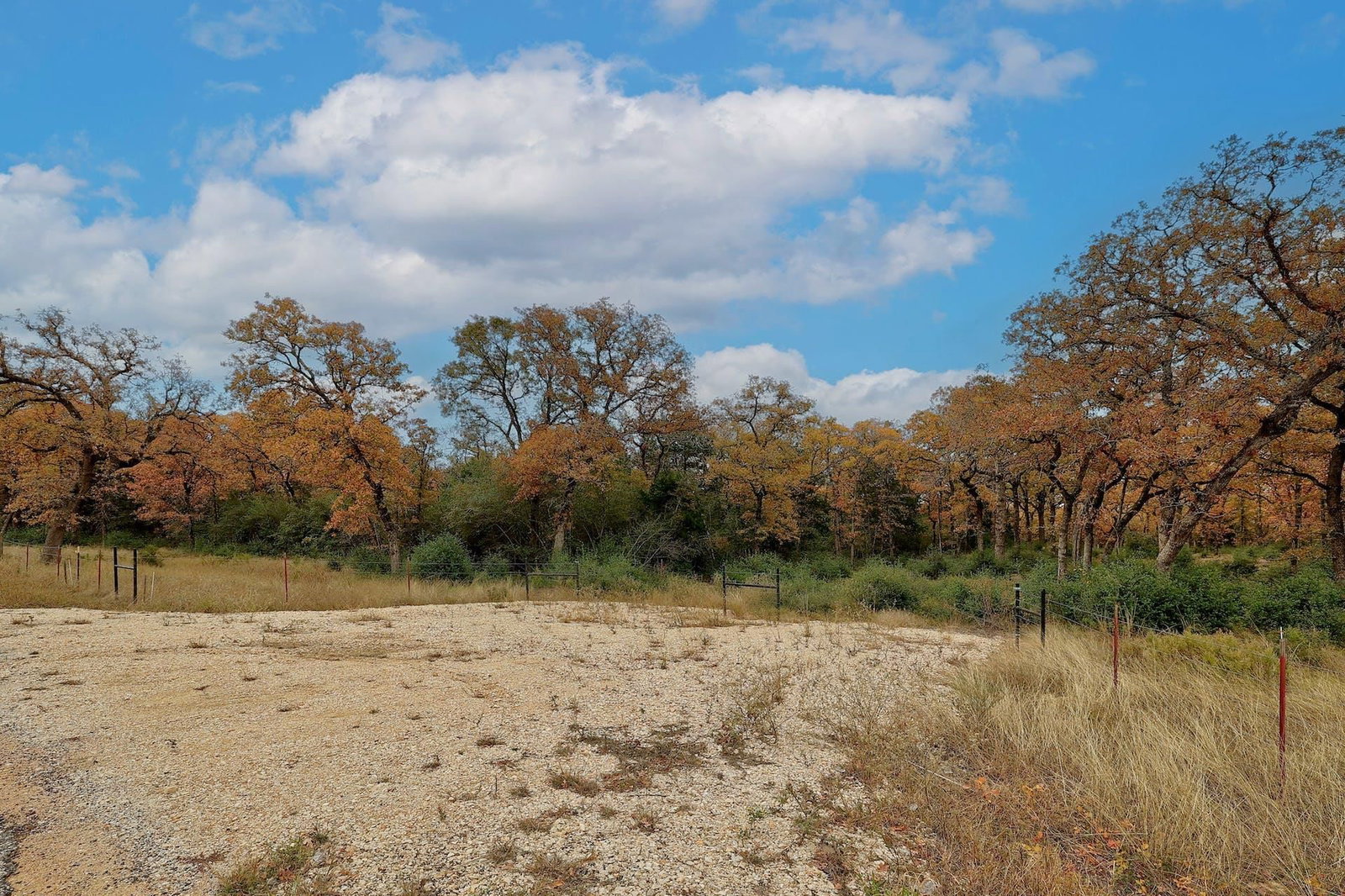1563 County Road 312 RD - Photo 1