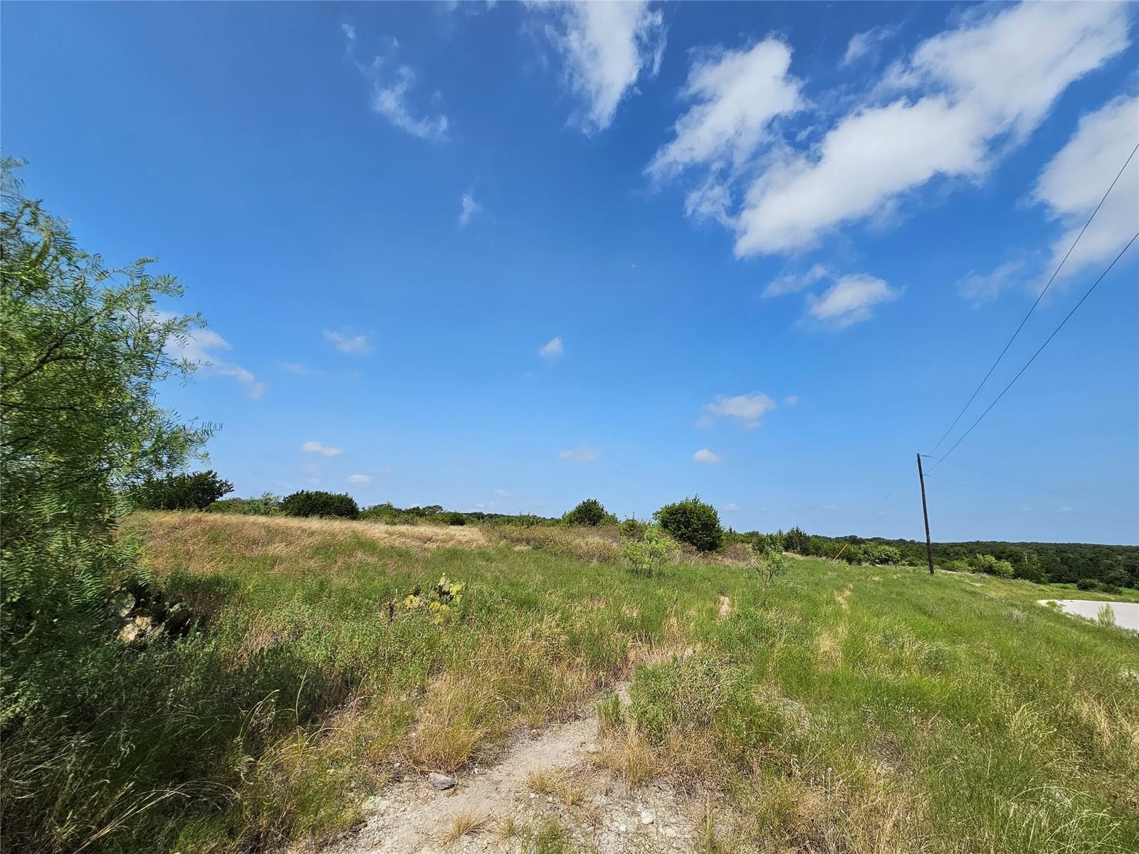 Lot 111 Shin Oak DR - Photo 1