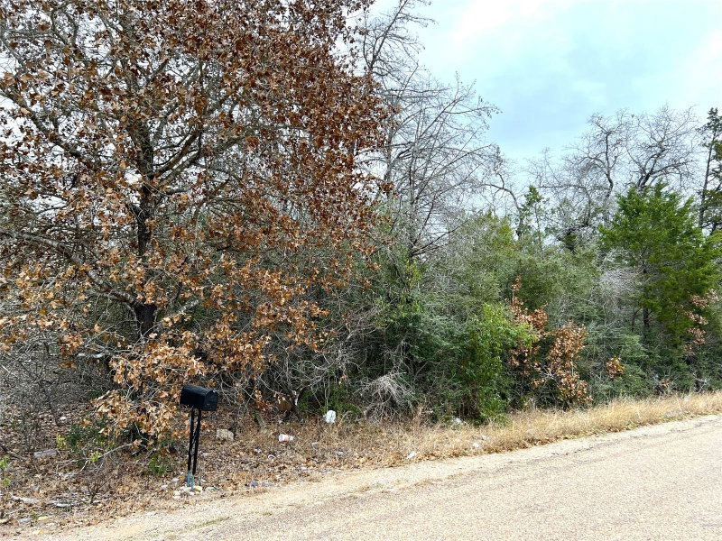 Property photo 12