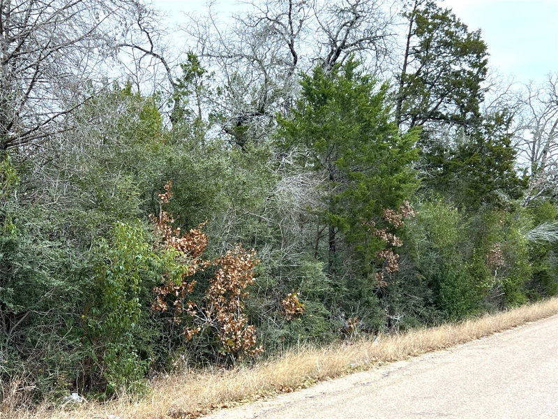 Property photo 13