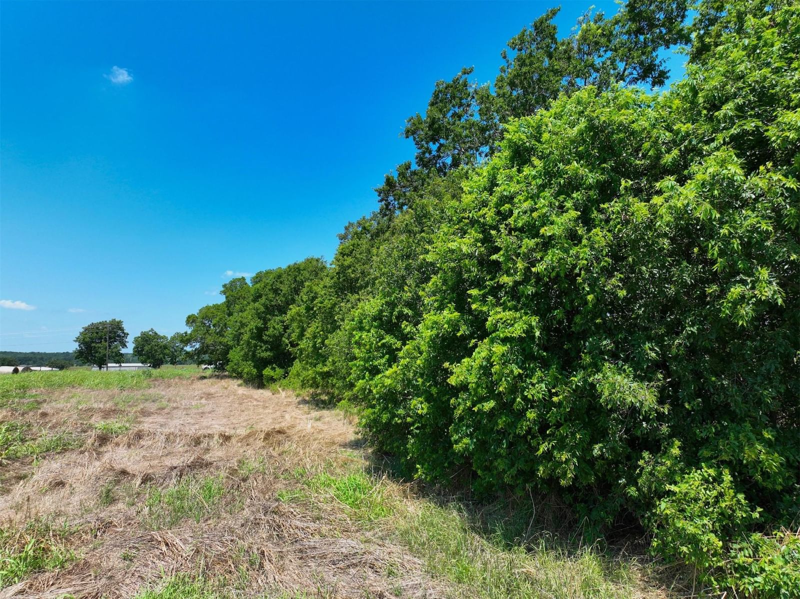 Lot 1 CR 142 RD - Photo 1
