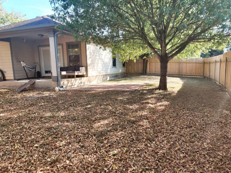 Property photo 40