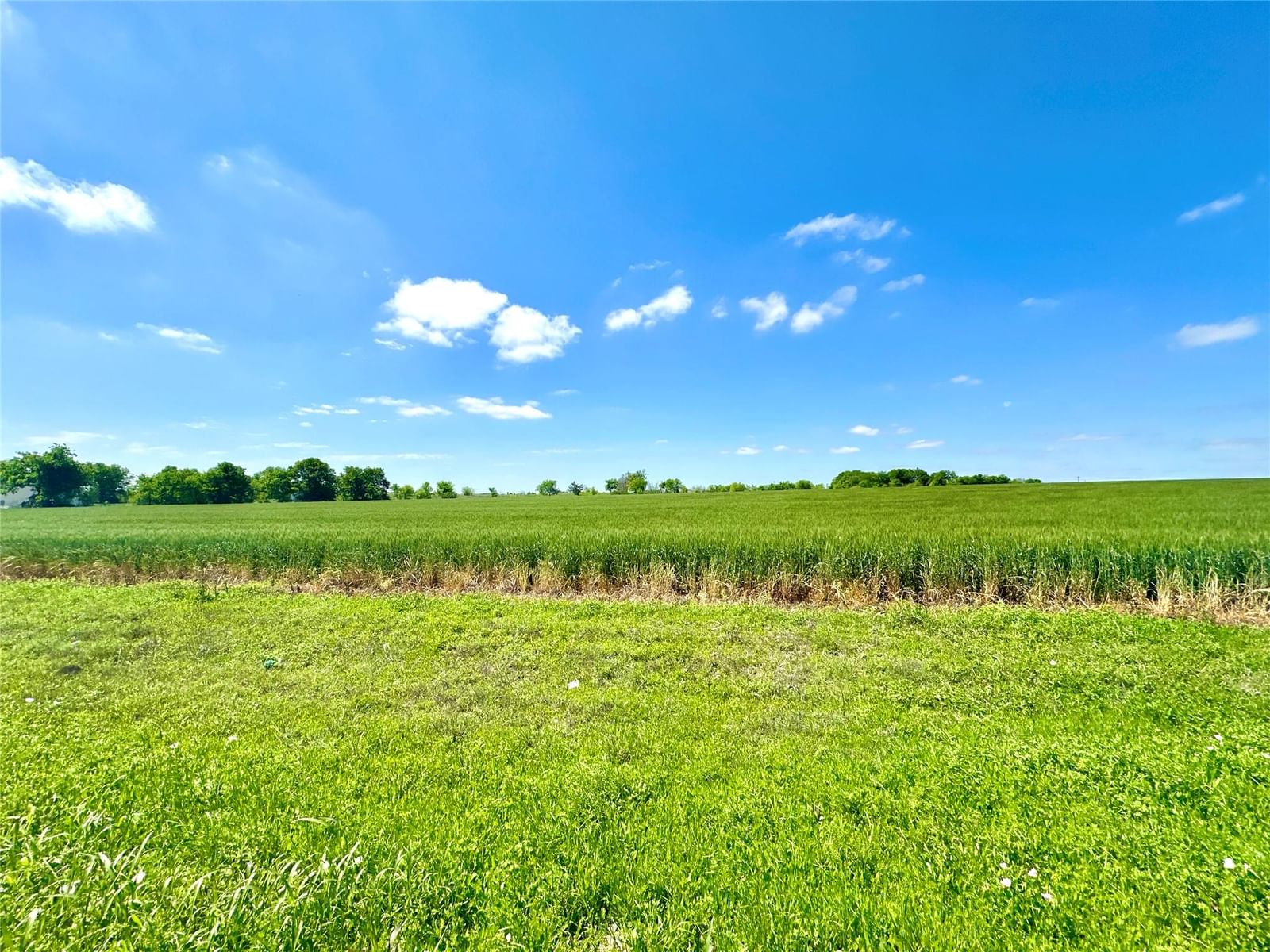 TBD Airville RD - Photo 1