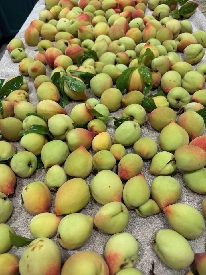 Photo 37