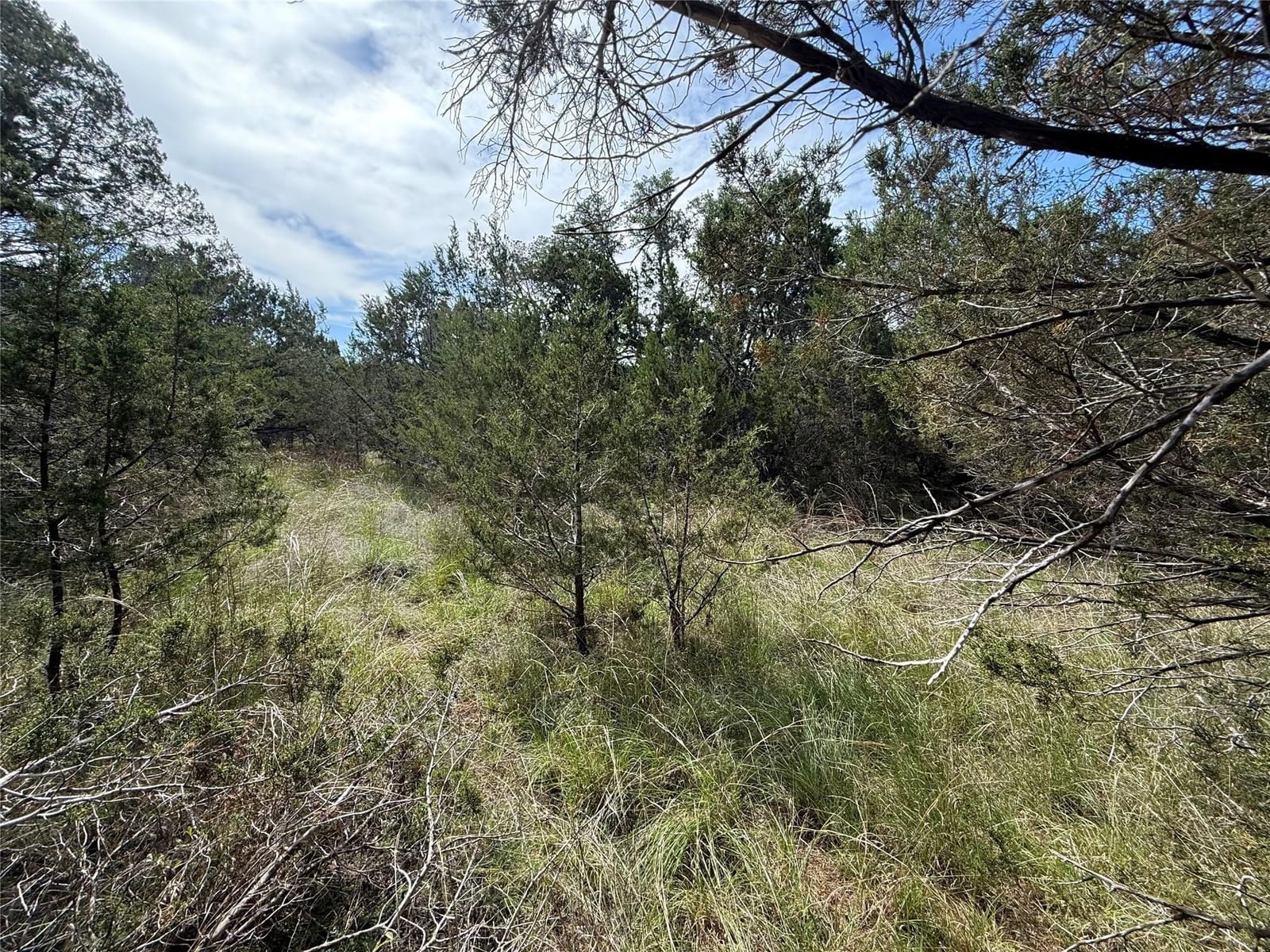 38 Heathrow LN - Photo 1