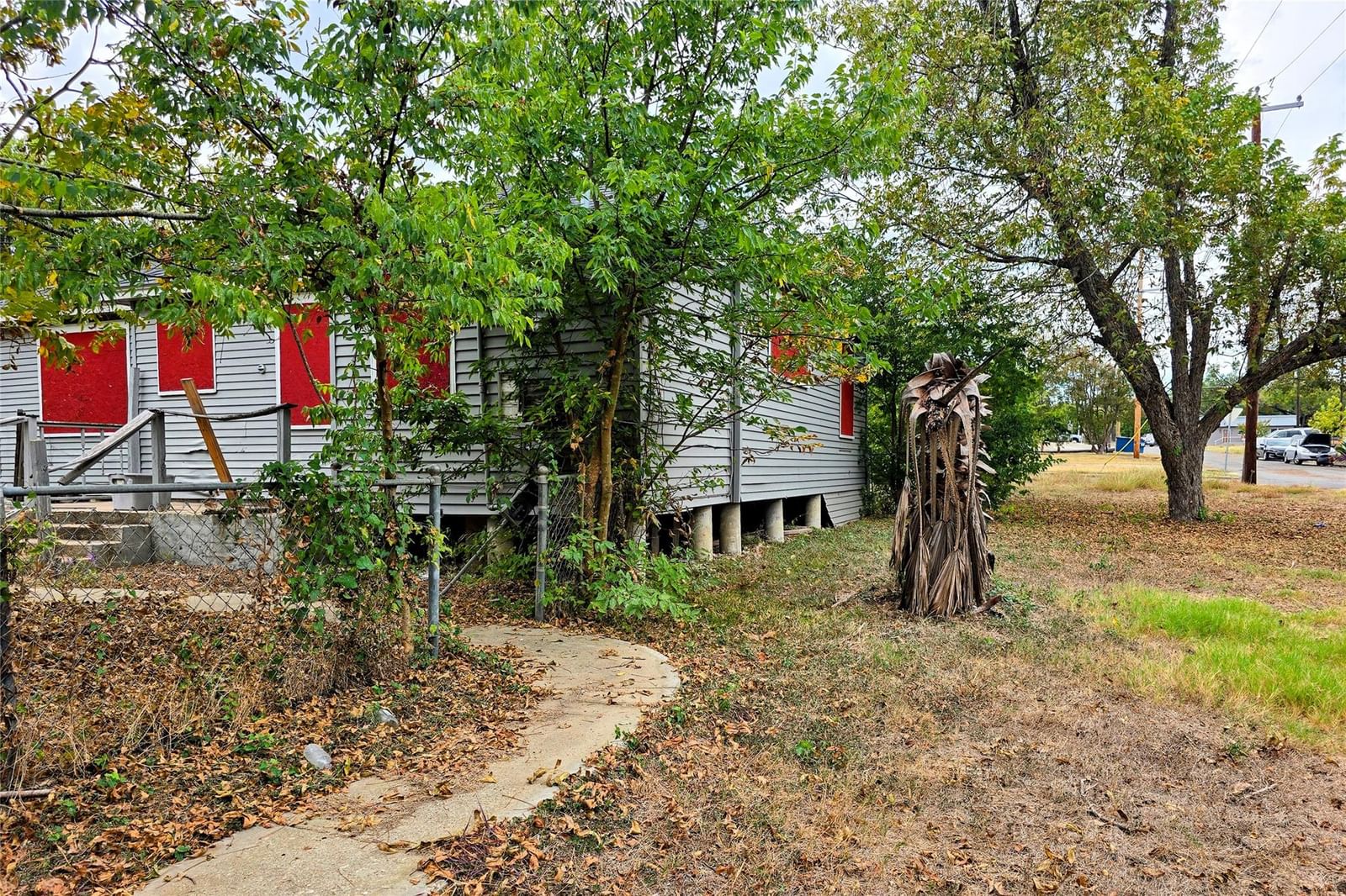 Photo 5