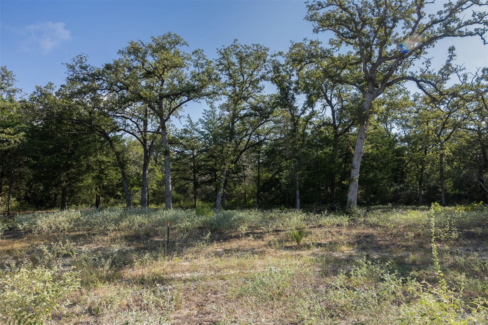 180 Autumn Oak Ct CT - Photo 1