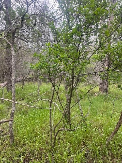 Lot 628 Hilea CT - Photo 1