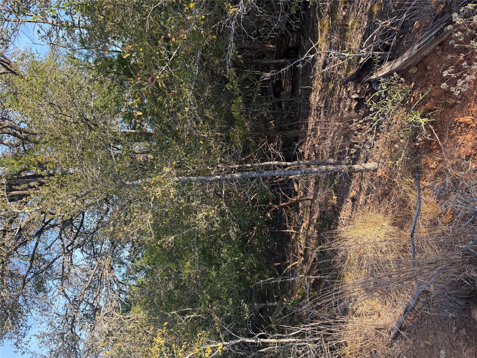 160 Helemano DR - Photo 1
